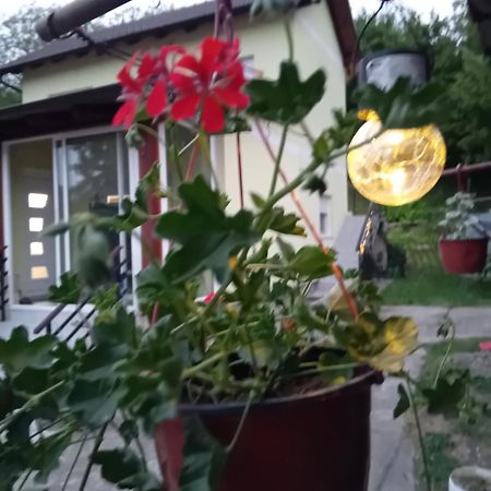 Apartamento Lux Snezana Vrdnik Exterior foto