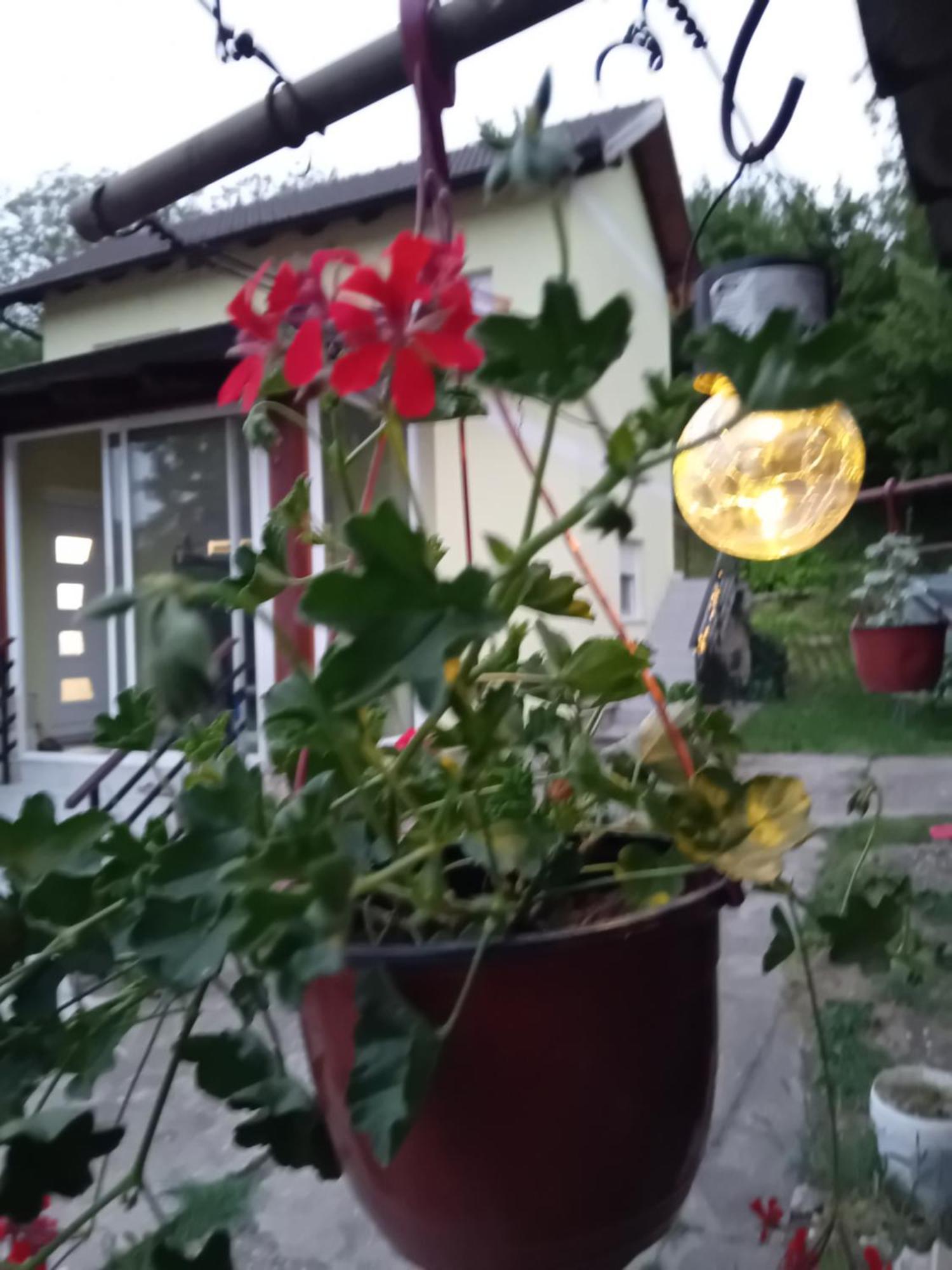 Apartamento Lux Snezana Vrdnik Exterior foto